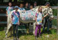 Whimsy Brook Youth Camp